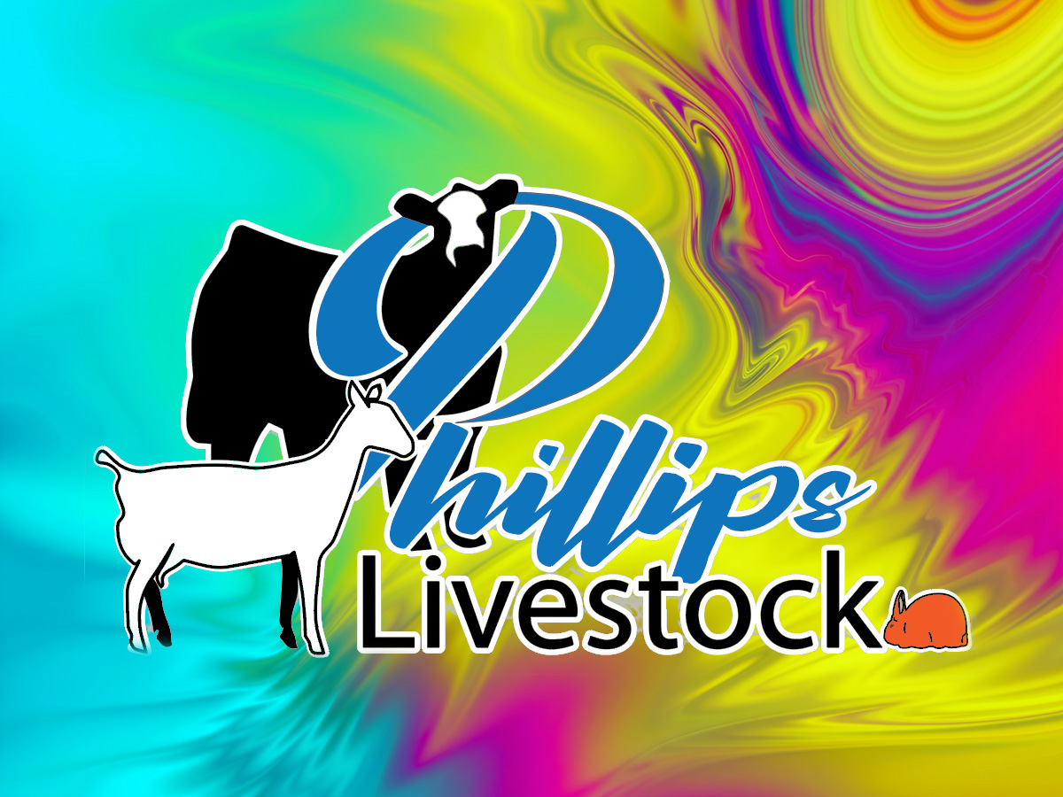 Phillips Livestock logo design